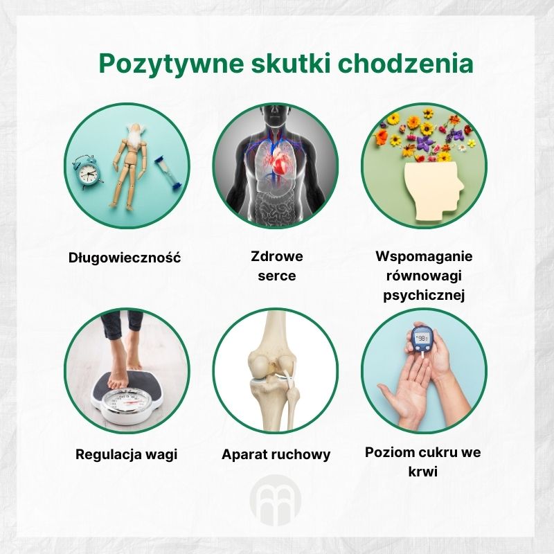 (Polština) Pozitivní vlivy chůze